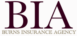 Burn Insurance Agency Logo
